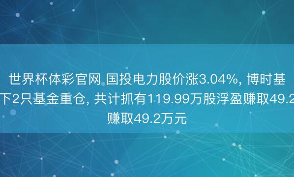 世界杯体彩官网 国投电力股价涨3.04%， 博时基金旗下2只基金重仓， 共计抓有119.99万股浮盈赚取49.2万元