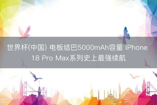 世界杯(中国) 电板结巴5000mAh容量 iPhone 18 Pro Max系列史上最强续航