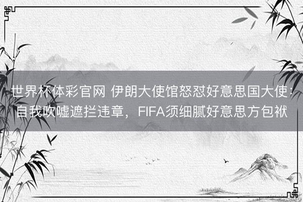 世界杯体彩官网 伊朗大使馆怒怼好意思国大使:自我吹嘘遮拦违章,FIFA须细腻好意思方包袱