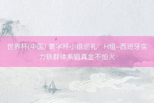 世界杯(中国) 寰宇杯小组巡礼：H组-西班牙实力轶群体系锻真金不怕火