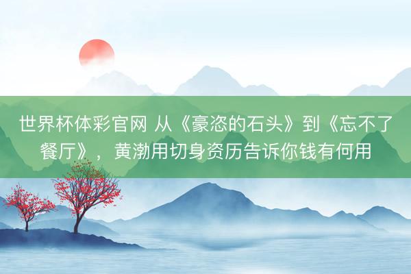 世界杯体彩官网 从《豪恣的石头》到《忘不了餐厅》，黄渤用切身资历告诉你钱有何用