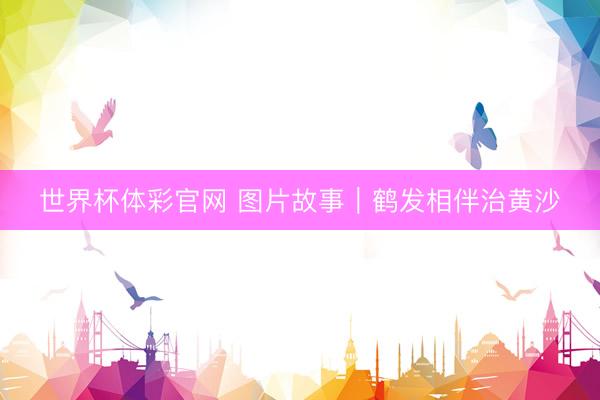 世界杯体彩官网 图片故事｜鹤发相伴治黄沙