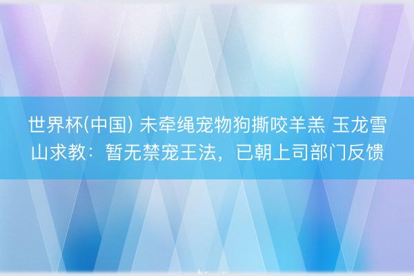 世界杯(中国) 未牵绳宠物狗撕咬羊羔 玉龙雪山求教：暂无禁宠王法，已朝上司部门反馈
