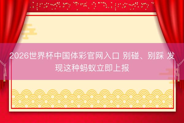 2026世界杯中国体彩官网入口 别碰、别踩 发现这种蚂蚁立即上报
