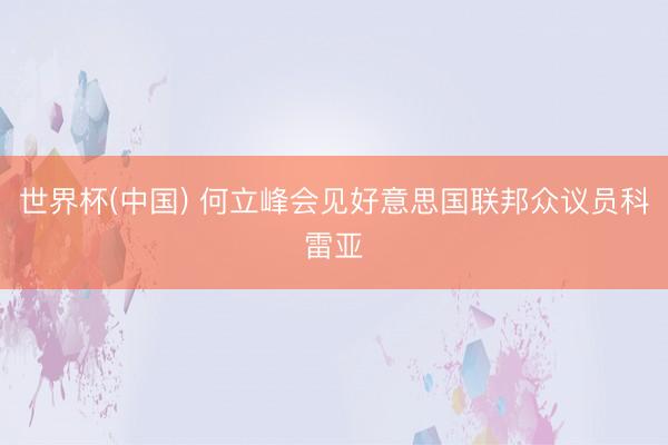 世界杯(中国) 何立峰会见好意思国联邦众议员科雷亚