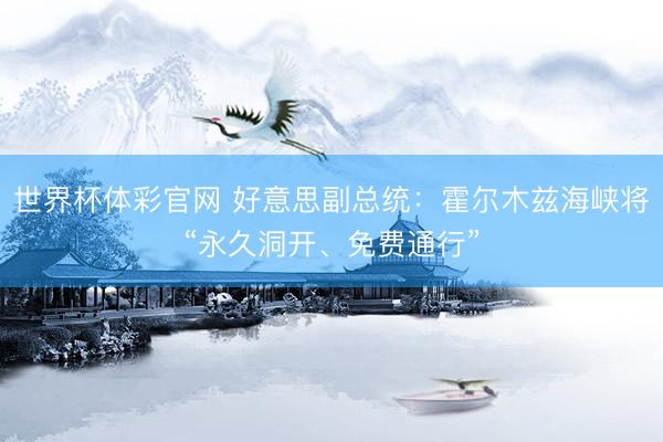 世界杯体彩官网 好意思副总统：霍尔木兹海峡将“永久洞开、免费通行”