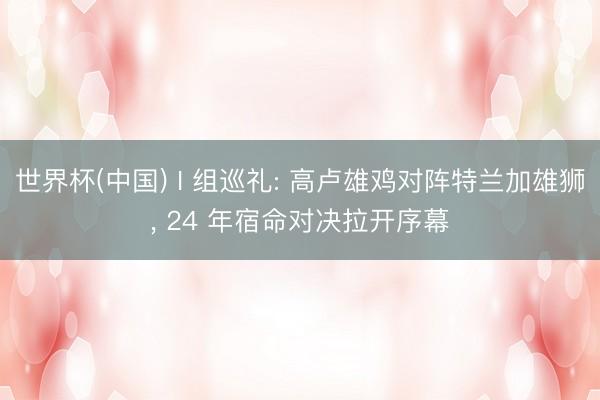 世界杯(中国) I 组巡礼: 高卢雄鸡对阵特兰加雄狮, 24 年宿命对决拉开序幕