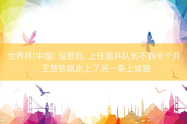 世界杯(中国) 没思到, 上任国乒队长不到半个月, 王楚钦就走上了另一条上坡路
